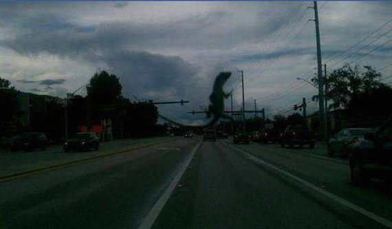 funny-pictures-1023
