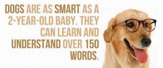 funny-pictures-1023