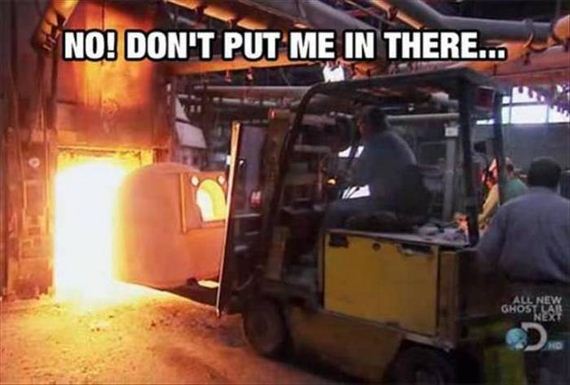 funny-pictures-1023