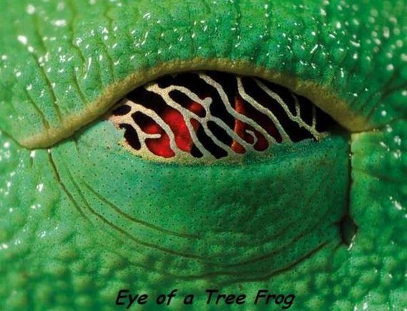 funny-pictures-1024