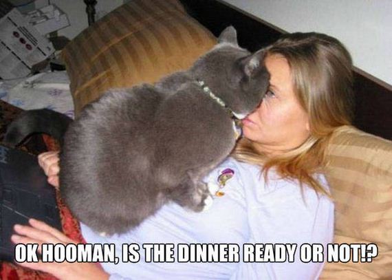 funny-pictures-1024