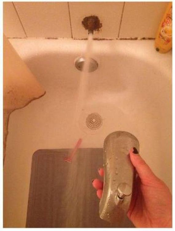 funny-pictures-1024