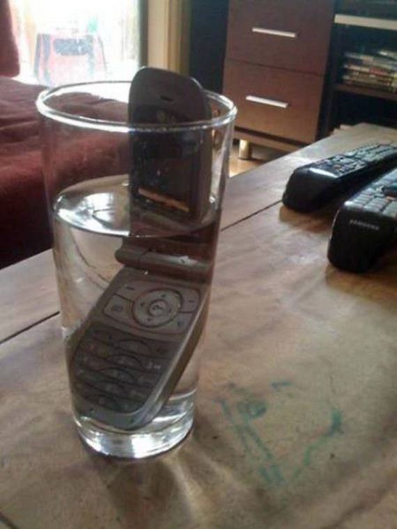 funny-pictures-1024