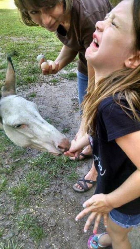 funny-pictures-1024