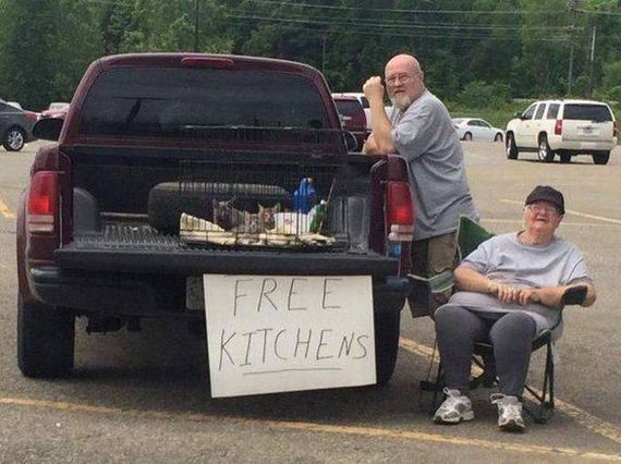 funny-pictures-1024