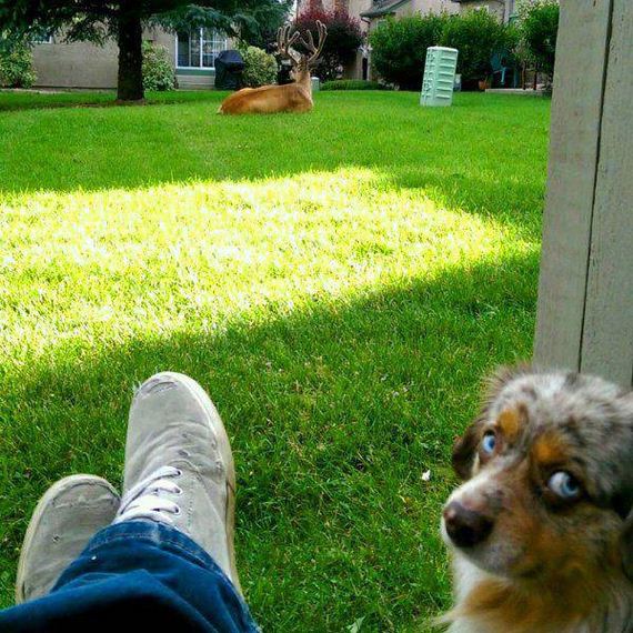 funny-pictures-1024