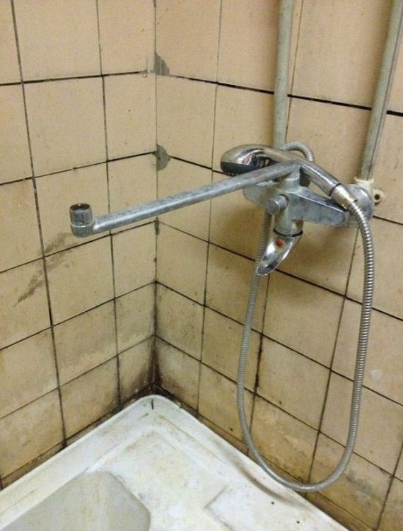 funny-pictures-1024