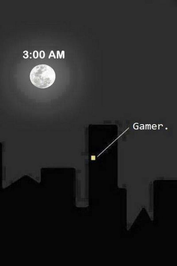funny-pictures-1024