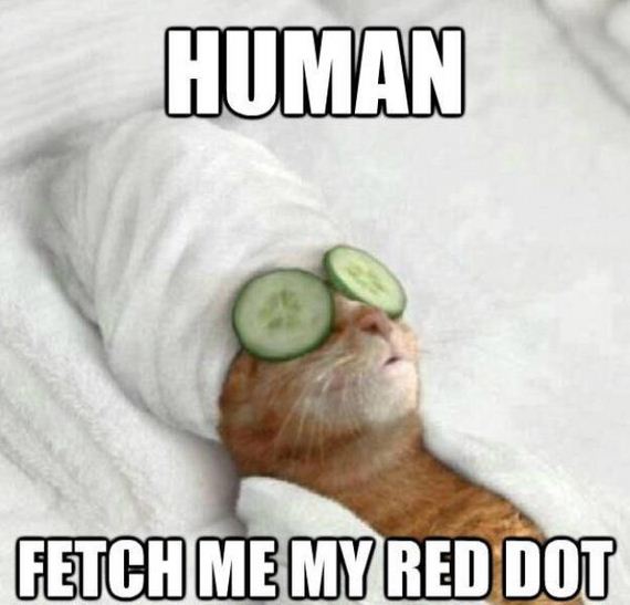 funny-pictures-1024