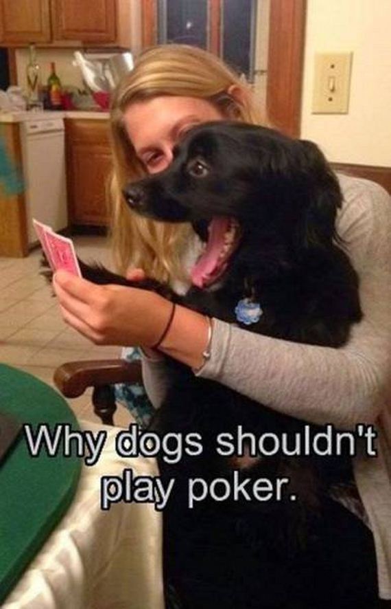 funny-pictures-1024