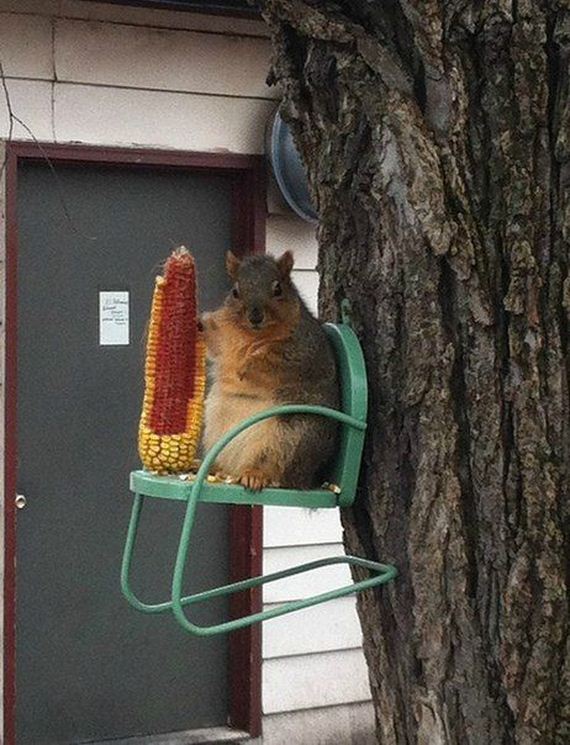 funny-pictures-1024