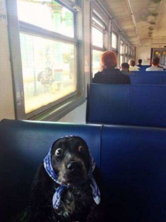 funny-pictures-1025