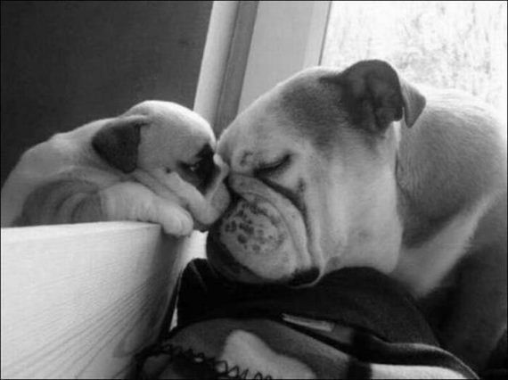 funny-pictures-1026