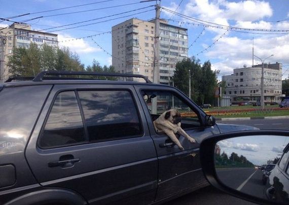 funny-pictures-1026