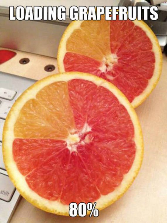 funny-pictures-1027
