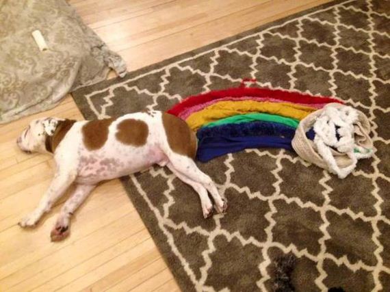 funny-pictures-1027