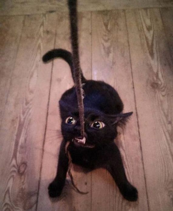 funny-pictures-1027