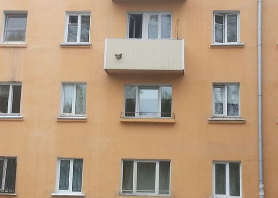 funny-pictures-1027