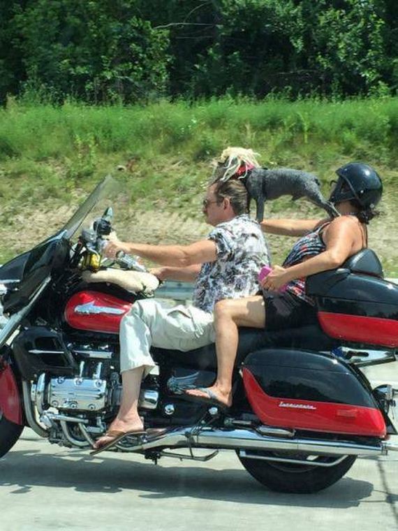 funny-pictures-1027