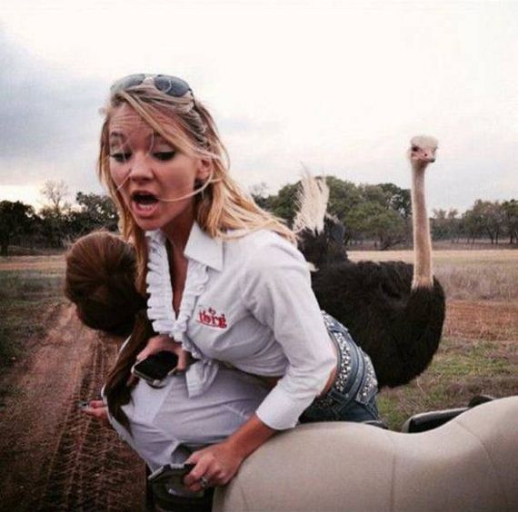 funny-pictures-1027
