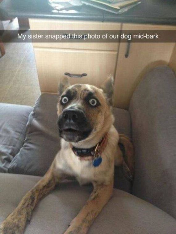funny-pictures-1027