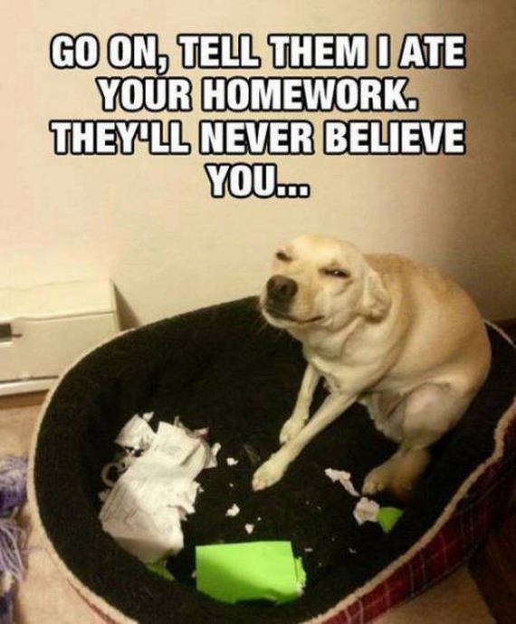 funny-pictures-1027