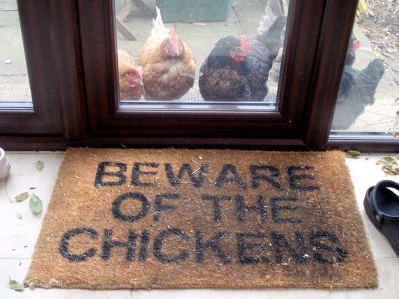 funny-pictures-1029