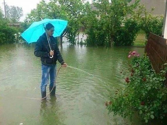 funny-pictures-1029