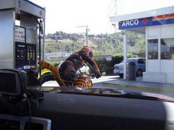 funny-pictures-1029
