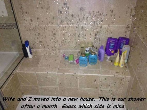 funny-pictures-1029