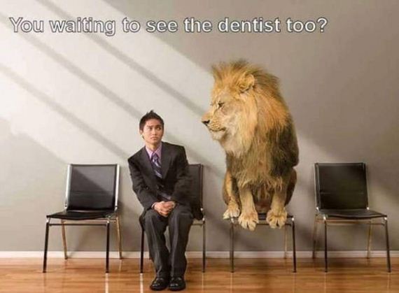 funny-pictures-1029