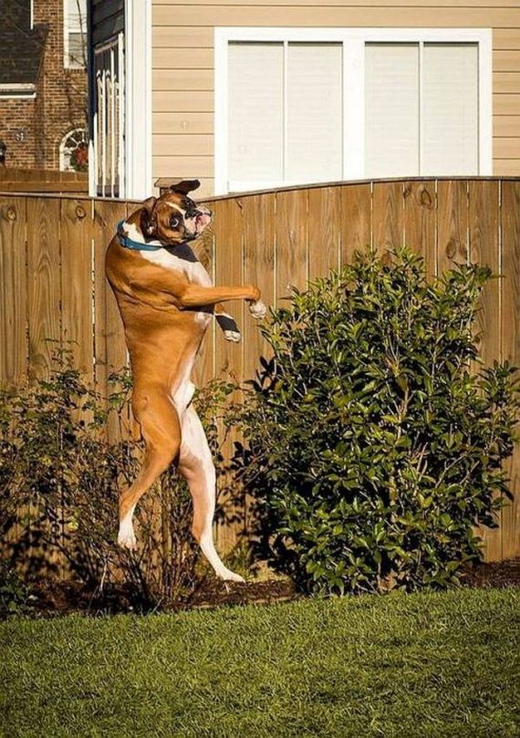 funny-pictures-1029