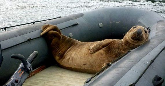 funny-pictures-1029