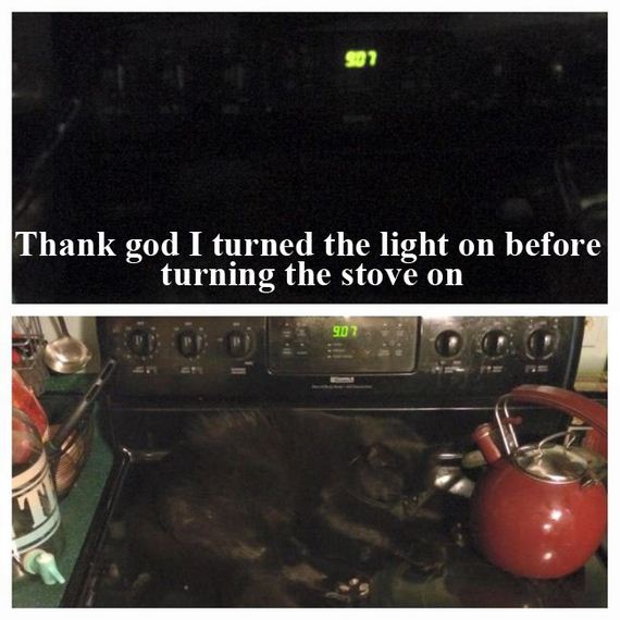 funny-pictures-1029