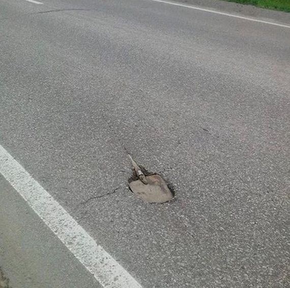 funny-pictures-1029