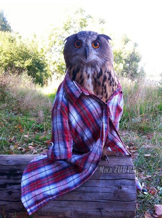 funny-pictures-1029