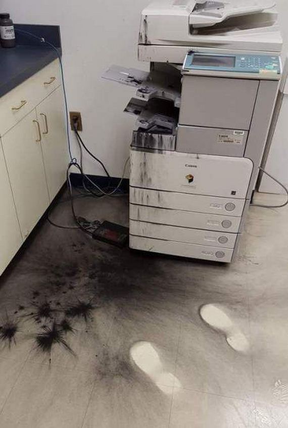 funny-pictures-1029