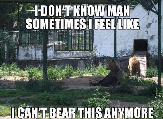 funny-pictures-1029