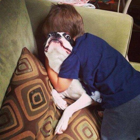 funny-pictures-1029