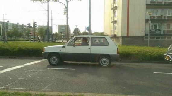 funny-pictures-1030