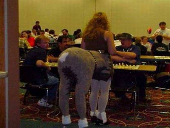 funny-pictures-1030