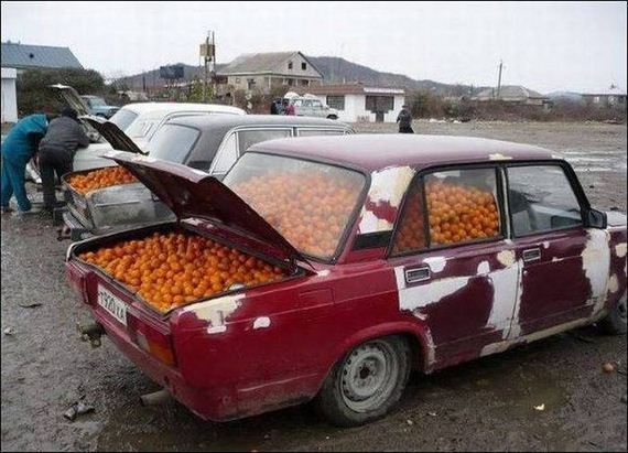 funny-pictures-1030