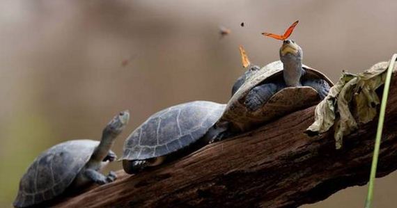 funny-pictures-1030