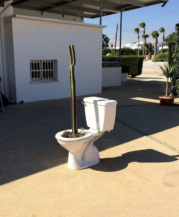 funny-pictures-1031
