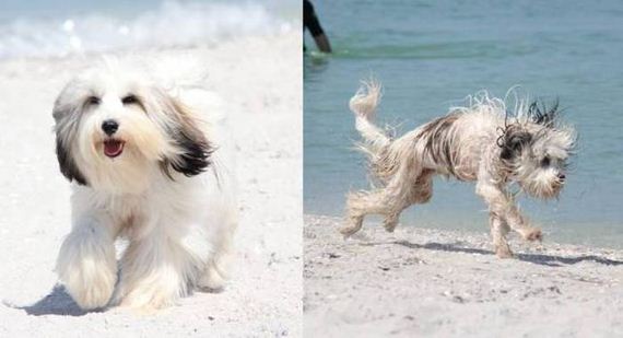 funny-pictures-1031