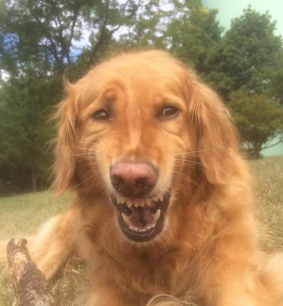 funny-pictures-1031