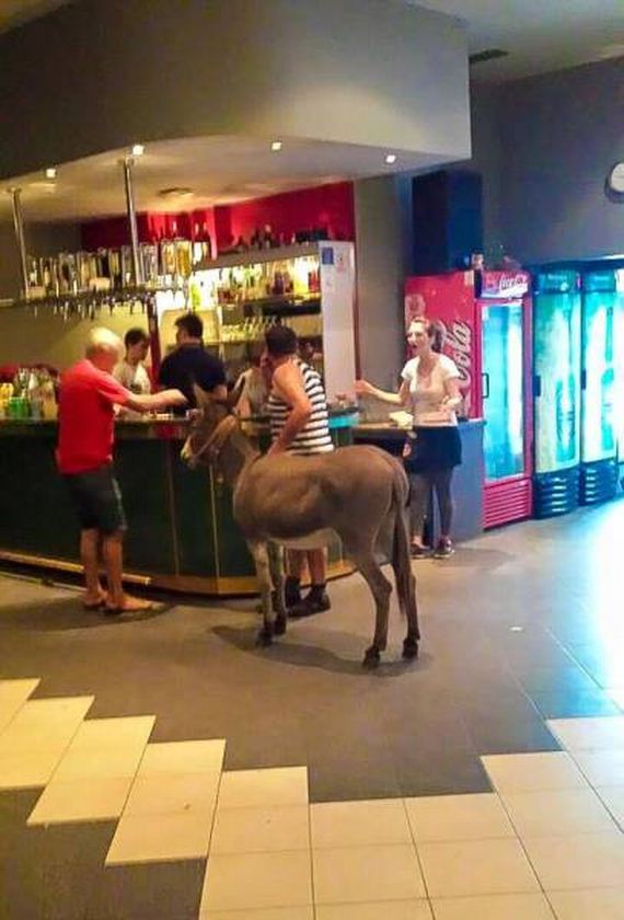 funny-pictures-1031