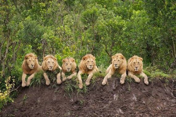 funny-pictures-1032