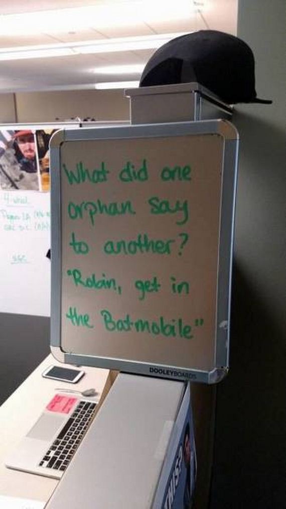 funny-pictures-1032