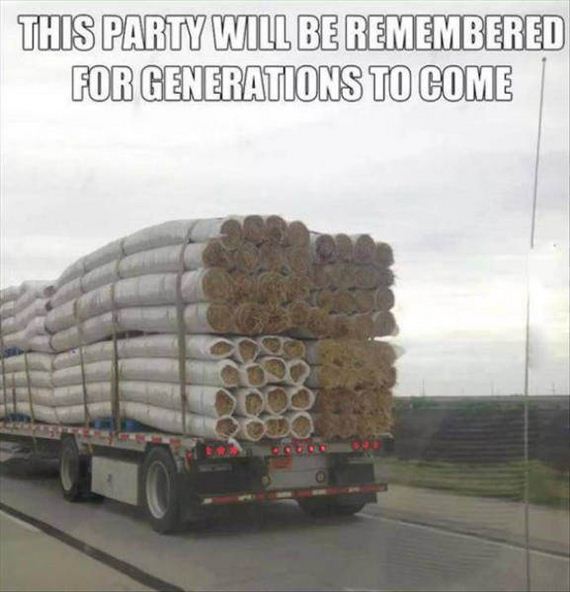 funny-pictures-1032